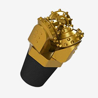 Introduction aux connaissances sur les forets tricone!